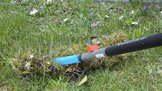 Moos im Rasen entfernen: Fünf Tipps, mit denen Ihr Rasen jetzt in den Frühling startet