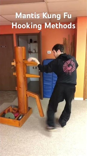 Personal Practice: Mantis Kung Fu Hooking Methods #martialarts #traditionalkungfu #kungfu