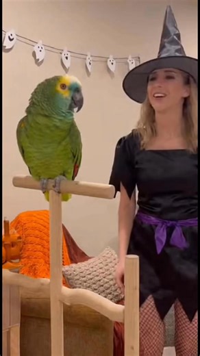 41K views · 567 reactions | 列 Captain Chuckles Roasts the Witch —...