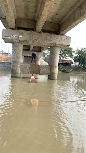 Tow fisherman cast net under the bridge #foryouシ #reels #CastNetFishing #Amazing #virals #fish