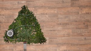 16 reactions | Merry Christmas from the entire GARDENA team!  We wish you a joyful holiday season filled with love, laughter, and beautiful moments - both indoors and out.  Whether you're taking a break from your garden or enjoying winter greenery indoors, we hope this time of year brings warmth and relaxation. Enjoy the holidays, and see you in the garden soon! ✨ | GARDENA | Facebook