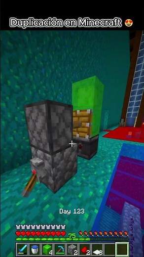 Carpet duplication in Minecraft! 😍