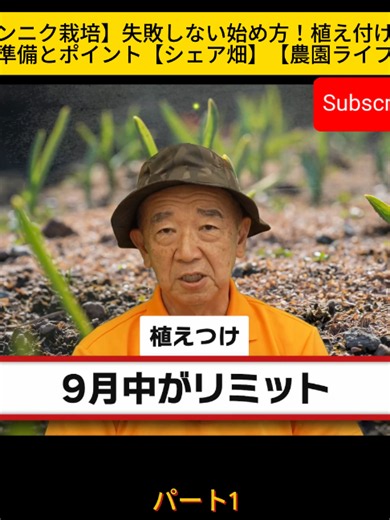 ニンニク栽培の始め方｜植え付け前の準備と失敗しないポイント