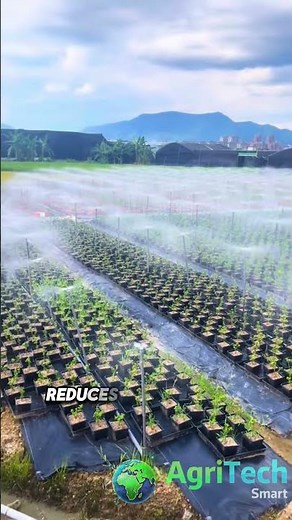 This Farming Hack Saves 70% Water While Crops Thrive #agriculture #farming