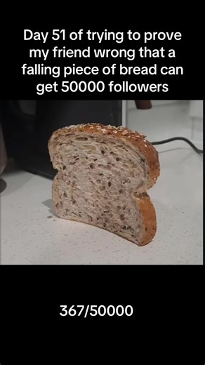 Follow pls #me #you #foryoupage #viral #bread | bread