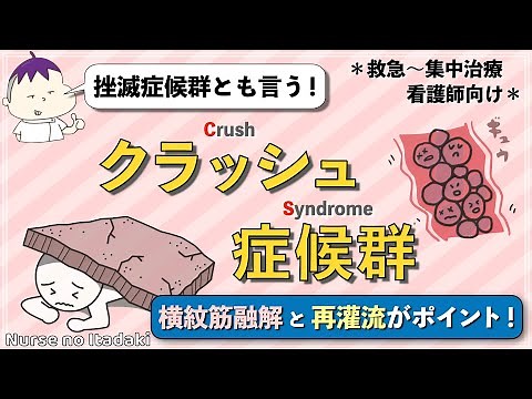 【クラッシュ症候群ってなに？】横紋筋融解と再灌流がポイント！