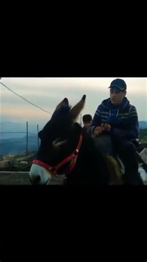 🎶 Tajmilt i wɣaghyoul ,Un hommage sincère à l’âne 🐴 #TajmiltIwɣaghyoul #HommageALâne