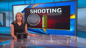 2 wounded in Dillon County shooting, sheriff says