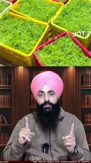 Moringa Powder: India’s Next Export Superstar 🌿🚀#MoringaPowder, #IndianExports, #superfoods