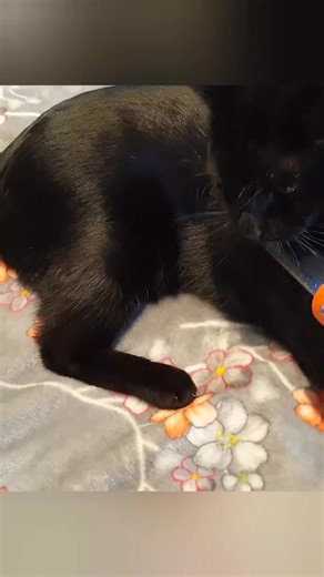 Golden poop 💩 | X Findss