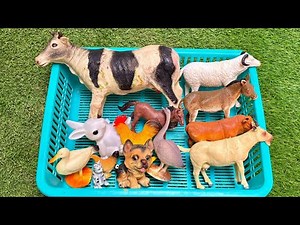 🐮 Farm or Zoo? Guess Where These Animals Live! | Learning Fun Facts for Kids