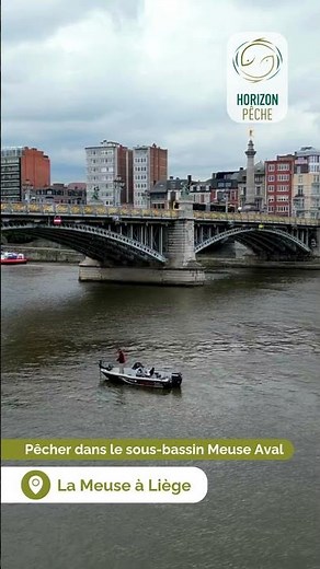Pêcher dans le sous-bassin Meuse Aval (Meuse à Liège)