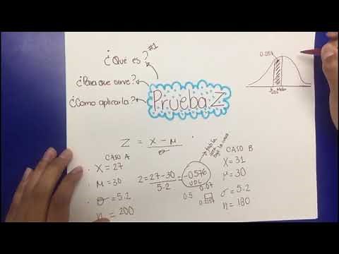 PRUEBA Z