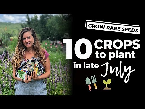 Top 10 Crops To Plant In Late July