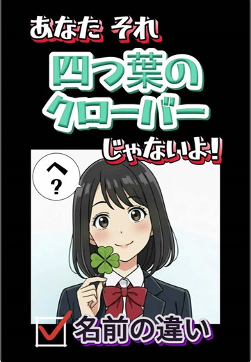 四つ葉のクローバーとカタバミの違い