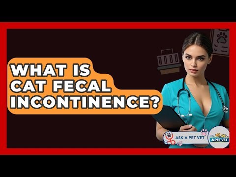 What Is Cat Fecal Incontinence? - Ask A Pet Vet