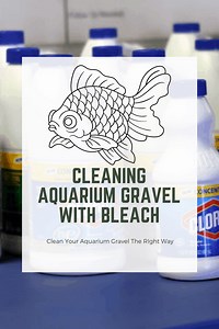 Can you use bleach to clean aquarium gravel?