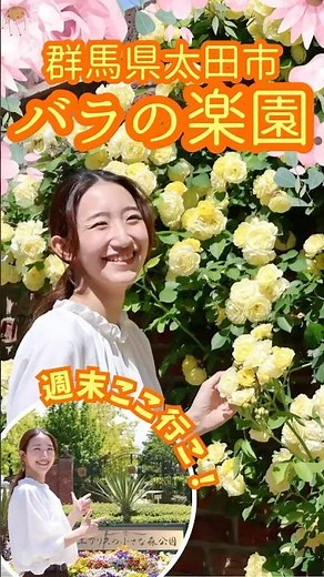 【群馬のオススメお出かけスポット🌹】エアリスの小さな森公園|群馬県太田市|花と緑の課×広報ブランド課