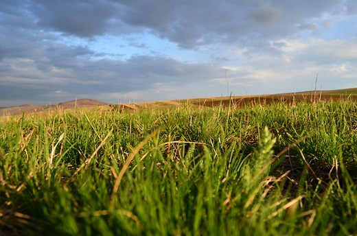 Running with the Land in Texas.