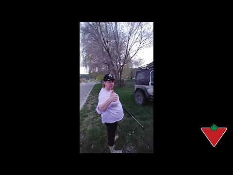 My product review: Simoniz Electric Pressure Washer