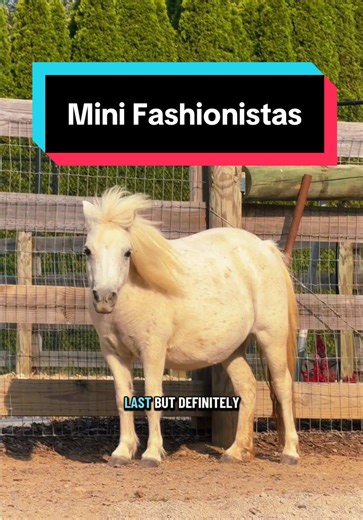 Mini Fashionistas: Who Had the Best Runway Walk?
