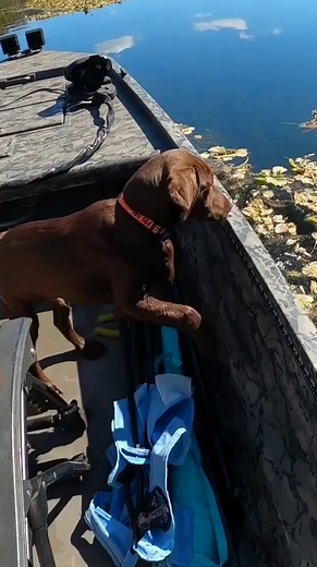 The Kelley's country life on Reels