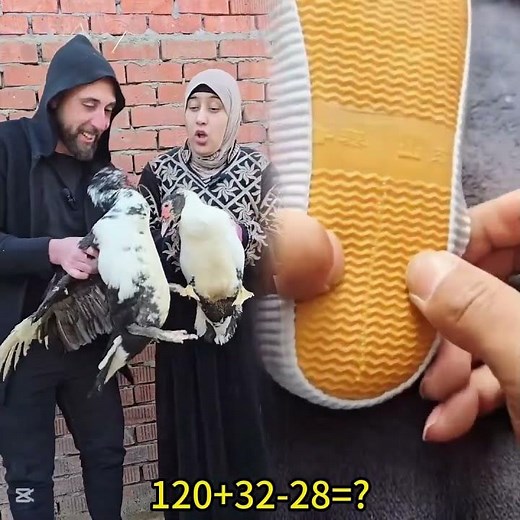 سرقه البط حلال في العيد🐤🐤 #النظافه #هتضحك #funny #comedy #اكسبلور #كوميديات