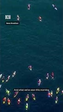 Thousands paddle out at Bondi Beach for an ocean memorial service | ABC NEWS
