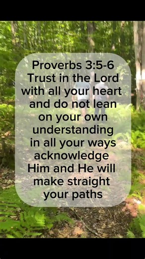 Proverbs 3:5–6 | Trust in the Lord (Scripture Memory Song)