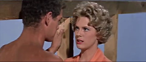 Spencer's Mountain (1963)