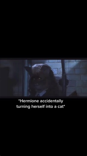 Hermione Turns Into a Cat | Harry Potter Chamber of Secrets