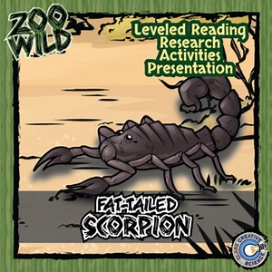 Scorpion Activities - Leveled Reading, Printables, Slides & Digital INB