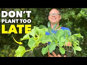 5 Crops You Can STILL Plant (Even in July)