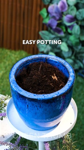 Future-Proof Your Garden: Climate-Resilient Plants and Smart Water Systems