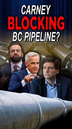 NDP Premiers shouldn't get vetoes over pipelines. The constitution is clear: the federal government has the exclusive jurisdiction in the approval or rejection of national infrastructure projects, including pipelines. Instead of ducking responsibility and abdicating leadership, it's time for this Prime Minister to stand up for Canadian workers, Canadian jobs and Canadian energy security, and get this pipeline built! | Aaron Gunn