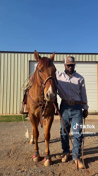 Mastering Team Roping Techniques for Success