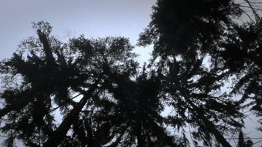 Last Knights Bande-annonce (IT)