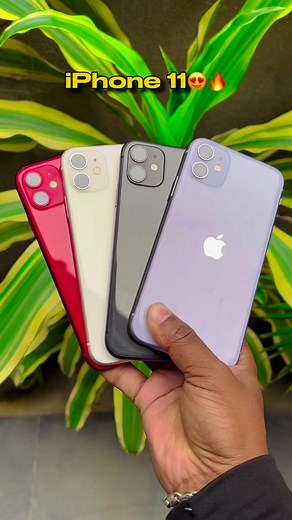 38K views · 858 reactions | iPhone 11 All Colours Available ❤️ Starting Price Only ₹16,999/- Book Now ☎️80179 99888 #iphone11 #mobixpress | MobiXpress | Facebook