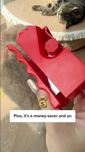 Here’s How You Can Make Cat Scratcher! 🙀