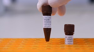 Author Spotlight: Detection and Treatment of Helicobacter pylori Infection