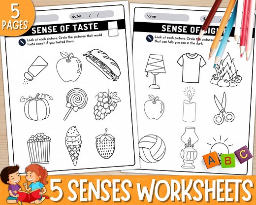 My Five Senses Activities Worksheets, 5 Senses Coloring Sheets, Kindergarten Five Senses Activity Sheets, Printable, Preschool, Prek, Pdf - Etsy