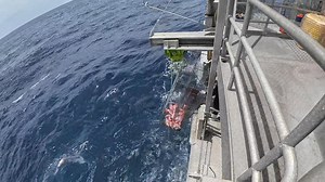 A few Saddle Tail Snapper about, will shuffle around today and see what's happening shallower. | Tk Offshore Fishing