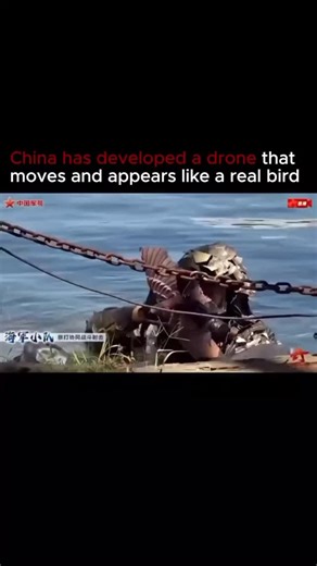 AI Tools & Trends • Science • Technology on Instagram: "This footage captures a bird-shaped drone that flies using natural flapping and gliding motions. By mimicking the wing movements of real birds, the drone achieves a highly inconspicuous flight profile. Numerous nations are now exploring biomimicry—designing machines that replicate natural organisms—to enhance performance and stealth in aerial systems. These avian-inspired drones hold potential for discreet surveillance, environmental resear