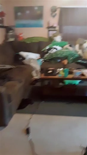 SKRAT KANGAROO on TikTok