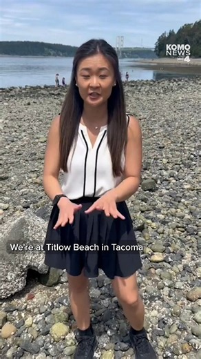 A heat advisory is in effect as some of the lowest tides of the year expose marine habitats across the Puget Sound region.Wildlife and shellfish experts say some marine species could be affected by the heat, though a widespread die-off is not expected.The extremely low tides are creating opportunities for beachgoers to explore tide pools and observe marine life.Officials are encouraging visitors to enjoy the shoreline responsibly and avoid disturbing exposed marine habitats.#komo #komo4 #komonew