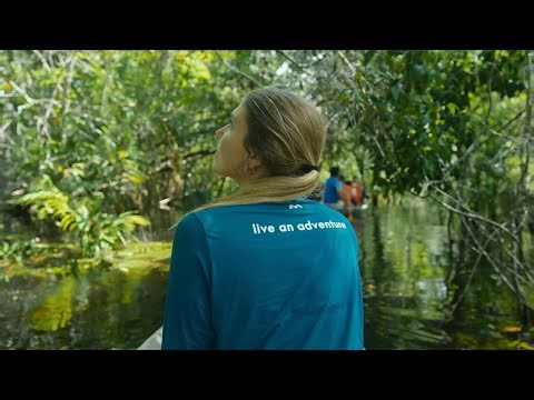 Tourism That Keeps the Amazon Alive