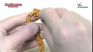 Science4you Brachiosaurus Dinosaur Fossil Digging Kit - Excavate and Assemble 11 Pieces Dino Bones, Archeology, Paleontologist + Dinosaurs for Kids, Stem Toys for Girls and Boys 6 7 8 9+ Years Old