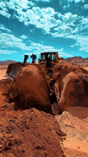 Soil Preparation by Removing Rocks