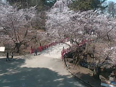 弘前城・弘前公園・岩木山ライブカメラ | 青森県弘前市下白銀町 | ライブカメラJAPAN FUJIYAMA