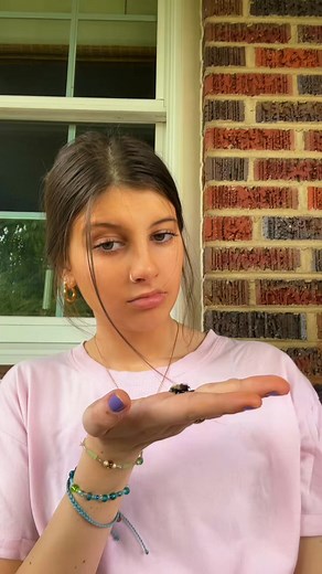 ( poor little bumble bee #bee | Sage Discovery